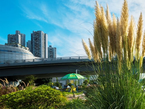 沱江二橋加寬改造工程附屬景觀建設項目